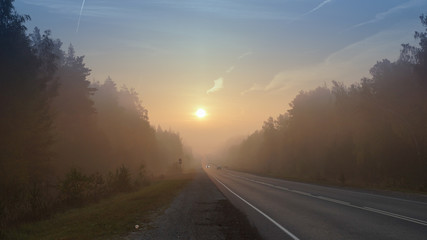 Road in the fog forest