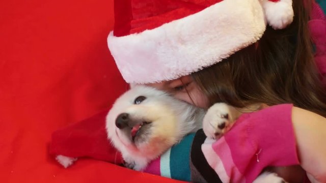 kid and white puppy  in a Santa Claus hat, slow motion