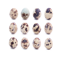 Set of dozen spotted quail eggs