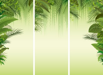 Set of three tropical forest background 