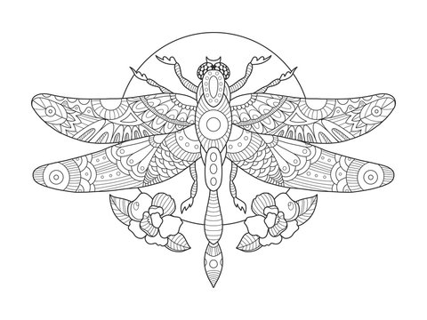 Dragonfly coloring book for adults vector