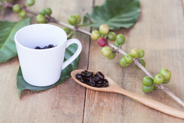 Fresh coffee beans on wood and coffee cup