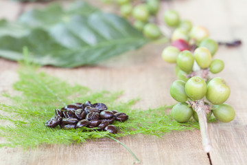 Fresh coffee beans on wood
