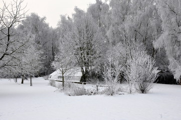 greenhouse and trees covered with snow and frost in winter in Belgium