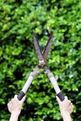 Grass cutter with green leave background.