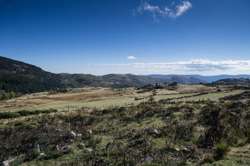 paysage mont lozère