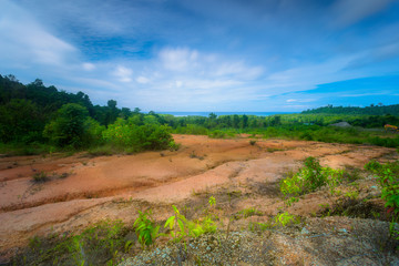 nature as are plant on the montains 