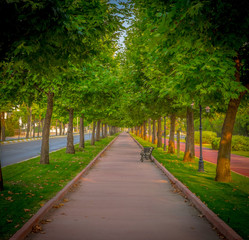 red walking road