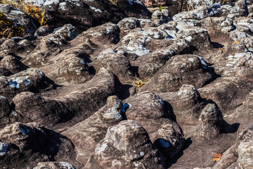 Rock and stone yard  in strange shape at Phuhinrongkla National