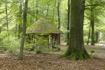 Fototapeta na wymiar Schutzhütte, Laubwald, Bäume