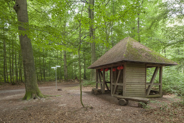 Schutzh&uuml;tte, Laubwald, B&auml;ume