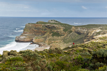 Fototapeta na wymiar Beautiful view of Cape of Good hope and ocean, South Africa 