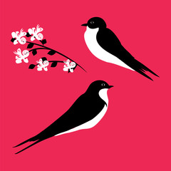swallows pair and one branch with flowers isolated on a bright pink background art creative modern vector element for design