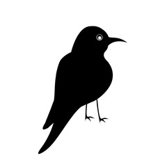 sketch hummingbirds meropidae colibri isolated on a white background vector