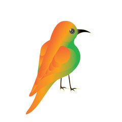 hummingbirds meropidae colibri bright yellow plumage isolated on a white background art creative modern vector element for design