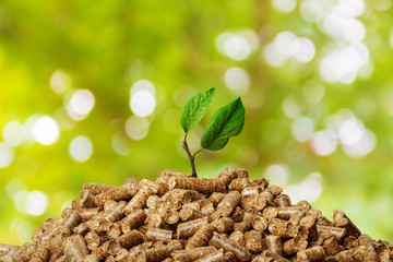 Wood pellets on a green background. Biofuels. - obrazy, fototapety, plakaty