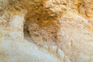 Part of the sandy cliff. Sandstone texture. A small depression in the rock