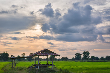 Sunset in Countryside