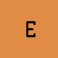 e icon. flat design