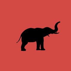elephant icon. flat design