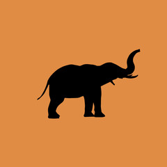 elephant icon. flat design