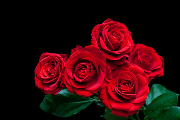 Bouquet of beautiful red roses on black background, Floral wallpaper