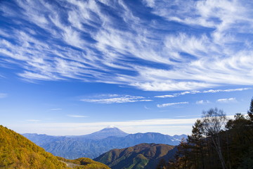 丸山林道から見る富士山