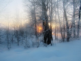 Мороз и солнце.......