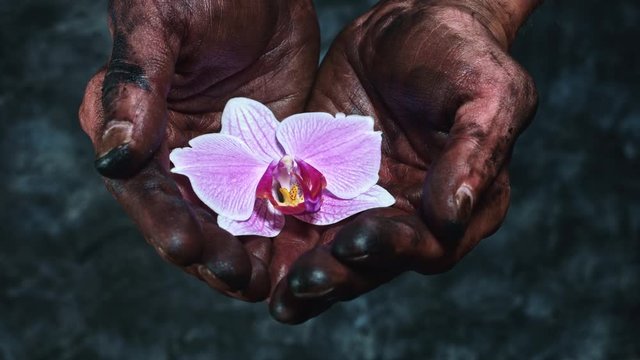 4k Technical Composition of Dirty Mechanic Hands Holding Flower