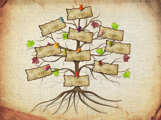 family tree illustration