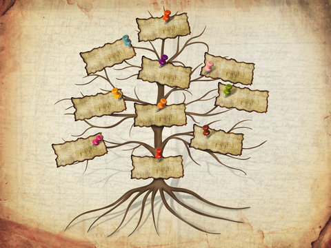 family tree illustration