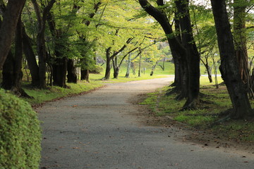 道