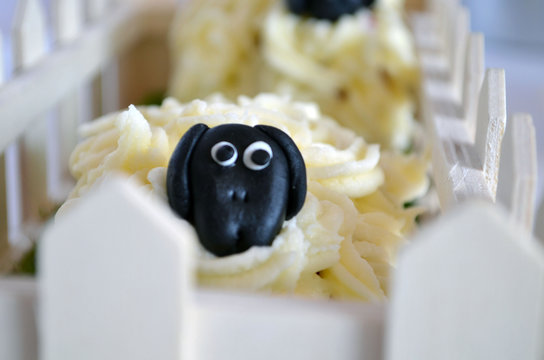 Cada oveja con su pareja