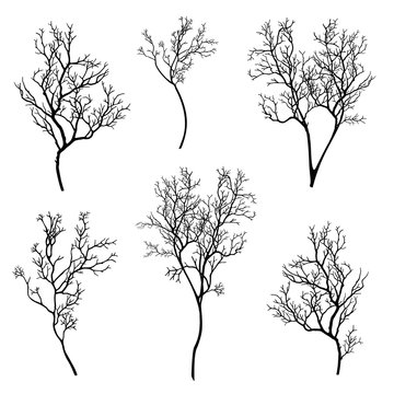 tree branch silhouette set