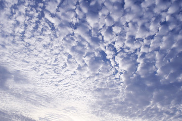 blue sky with cloud closeup