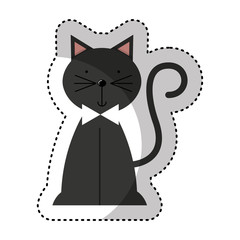 cute cat isolated icon vector illustration design