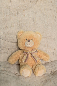Fun toy bear sitting in the easy chair