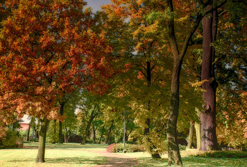 Park Pałacu w Boryni Jastrzębie