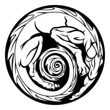 Dragon Circle Design