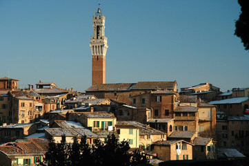 Fototapeta na wymiar Cityscape of Siena, in the hearth of Tuscany, Italy.
