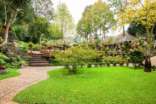 pathway in formal nature garden and green lawn