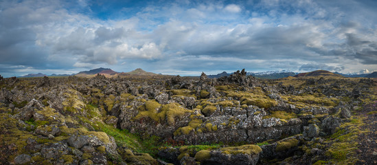 Fototapeta na wymiar Lava field in Iceland 