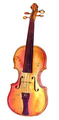 Naklejka premium Watercolour and ink violin drawing, isolated on white