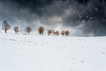 Early winter landscape. Alley of trees on a snowy mountain hill.