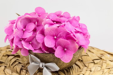 Obraz na płótnie Canvas bunch of hortensia pink flowers