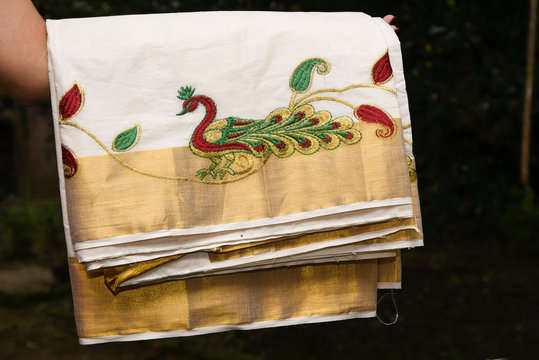 Woman holding Traditional handmade white silk sari/ saree with golden details, wear on Onam festival, Vishu, wedding, in Kerala India. Close up of traditional Kerala Sari with peacock embroidery. 