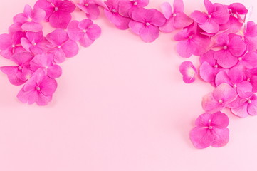 Naklejka na ściany i meble bunch of hortensia pink flowers