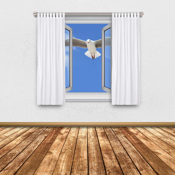 Open Window, Wooden Floor - Seagull