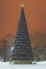 christmas tree in the middle of the park