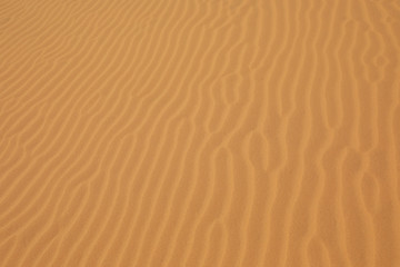 Rippled sand texture